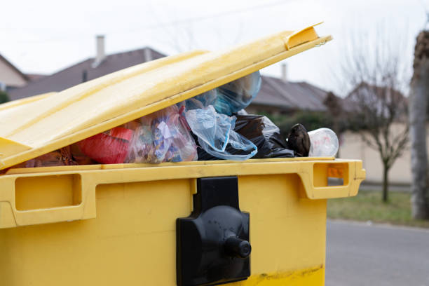Best Attic Cleanout  in Pirtleville, AZ